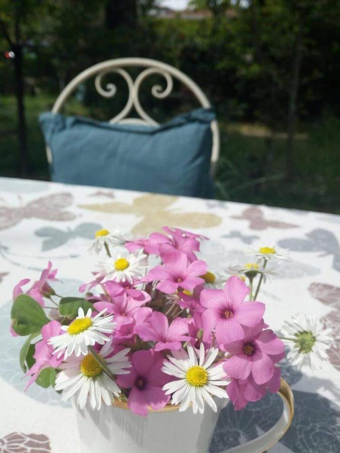 B&B Delle Arti Crema Eksteriør bilde